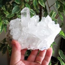 QUARTZ SPECIMENS