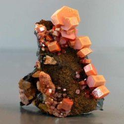VANADINITE SPECIMENS