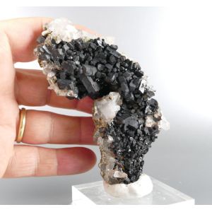 RARE RICH CRYSTALS BABINGTONITE ON QUARTZ - CHINA | 100 X 47 X 22 MM (© ROCKSHOP.CZ) | Buy at $330
