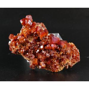 FINE RED VANADINITE - MIBLADEN, MOROCCO | 57 X 36 X 24 MM (© ROCKSHOP.CZ) | Buy at $79