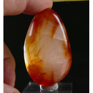 CARNELIAN PALM STONE FROM MADAGASCAR | 64 MM | 86 GRAM (© ROCKSHOP.CZ) | Buy at $14