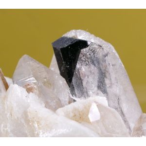 TOURMALINE SCHORL GROWN IN QUARTZ, FELDSPAR - PAKISTAN | 64 X 35 X 46 MM (© ROCKSHOP.CZ) | Buy at $50