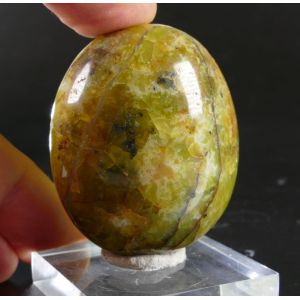 GREEN OPAL PALM STONE FROM MADAGASCAR | 49 MM | 71 GRAM (© ROCKSHOP.CZ) | Buy at $14