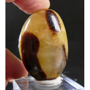 SEPTARIA PALM STONE FROM MADAGASCAR | 49 MM | 52 GRAM (© ROCKSHOP.CZ) | Buy at $7