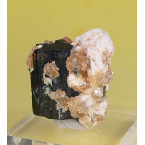 TOURMALINE SCHORL, ALBITE, MICA - GILGIT, PAKISTAN | 34 X 28 X 25 MM (© ROCKSHOP.CZ) | Buy at $20