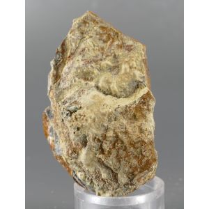 SLAVIKITE - VALACHOV HILL, SKřIVAň, CZECH REPUBLIC | TL- TYPE LOCALITY  | SYSTEMATIC | 51 X 33 X 24 MM (© ROCKSHOP.CZ) | Buy at $30
