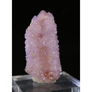 AMETYST KAKTUSOVý - BOEKENHOUTHOEK,JIžNí AFRIKA | 45 X 24 X 18 MM (© ROCKSHOP.CZ) | Buy at $8.95