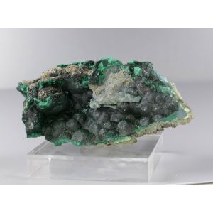 MALACHITE - LUBUMBASHI, DR CONGO | 65 X 25 X 30 MM (© ROCKSHOP.CZ) | Buy at $25