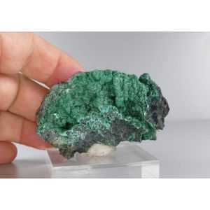 MALACHITE - LUBUMBASHI, DR CONGO | 68 X 39 X 28 MM (© ROCKSHOP.CZ) | Buy at $35