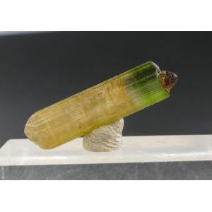 TOURMALINE ELBAITE 4.75 CT - SKARDU DISTRICT, PAKISTAN | 20 X 5 X 5 MM (© ROCKSHOP.CZ) | Buy at $49