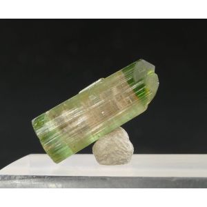 TOURMALINE ELBAITE 6.45 CT - SKARDU DISTRICT, PAKISTAN | 18 X 7 X 6 MM (© ROCKSHOP.CZ) | Buy at $59