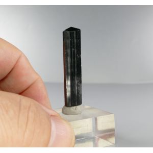 BLACK TOURMALINE SCHORL - SKARDU, PAKISTAN | 39 X 9 X 8 MM (© ROCKSHOP.CZ) | Buy at $28