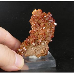 FINE RED VANADINITE - MIBLADEN, MOROCCO | 62 X 32 X 18 MM (© ROCKSHOP.CZ) | Buy at $75