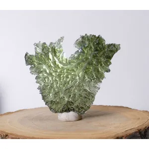 BESEDNICE MOLDAVITE LARGE HEDGEHOG & ANGEL CHIME 14.7 GRAM - 73 CTS *FROM COLLECTION* (© ROCKSHOP.CZ) | Buy at $2850