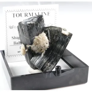 BLACK TOURMALINE SCHORL WITH FELDSPAR - SHIGAR VALLEY, PAKISTAN | PERKY BOX & LABEL (© ROCKSHOP.CZ) | Buy at $22