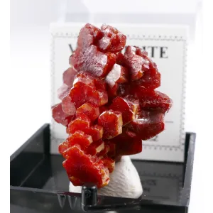 FINE RED VANADINITE THUMBNAIL - MIBLADEN, MOROCCO | PERKY BOX & LABEL (© ROCKSHOP.CZ) | Buy at $25