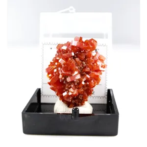 FINE RED VANADINITE ON BARITE THUMBNAIL - MIBLADEN, MOROCCO | PERKY BOX & LABEL (© ROCKSHOP.CZ) | Buy at $29