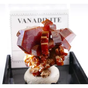 FINE RED VANADINITE THUMBNAIL - MIBLADEN, MOROCCO | PERKY BOX & LABEL (© ROCKSHOP.CZ) | Buy at $29