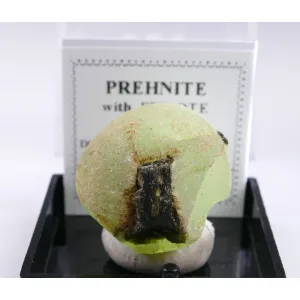 PREHNITE, EPIDOTE THUMBNAIL - DIAKON ,MALI | 21 X 20 X 18 MM | PERKY BOX & LABEL (© ROCKSHOP.CZ) | Buy at $18.95