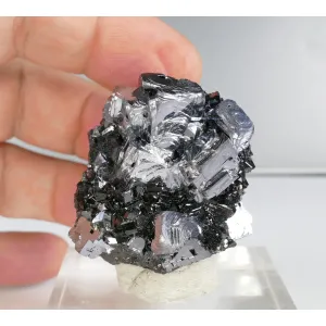 GALENA, SPHALERITE - MADAN, BULGARIA 82 G | 35 X 38 X 31 MM (© ROCKSHOP.CZ) | Buy at $25