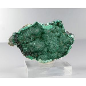 MALACHIT - LUBUMBASHI, DR KONGO | 62 X 41 X 19 MM (© ROCKSHOP.CZ) | Buy at $30