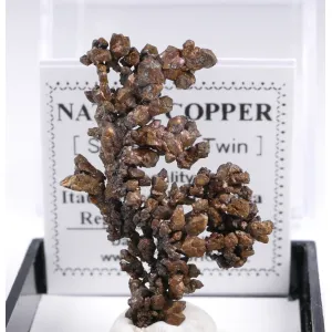KRYSTALOVANá Měď SRůSTY SPINEL TWIN -  ITAUZ MINE, KAZACHSTáN | 34 X 22 X 4 MM (© ROCKSHOP.CZ) | Buy at $30