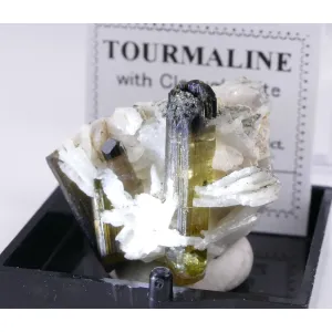 ELBAITE WITH CLEAVELANDITE - SHIGAR VALLEY, PAKISTAN | 26 X 22 X 18 MM | PERKY BOX & LABEL (© ROCKSHOP.CZ) | Buy at $59