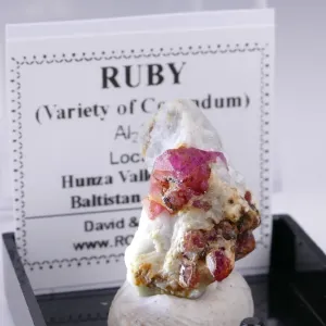 RUBY THUMBNAIL - HUNZA VALLEY, PAKISTAN | 21 X 14 X 11 MM | PERKY BOX & LABEL (© ROCKSHOP.CZ) | Buy at $25