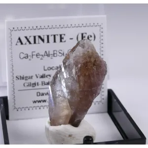 AXINITE THUMBNAIL CRYSTAL - SHIGAR VALLEY, PAKISTAN | 25 X 13 X 6 MM  | PERKY BOX & LABEL (© ROCKSHOP.CZ) | Buy at $18.95