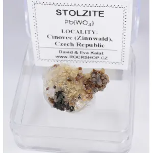 STOLZITE - CíNOVEC,(ZINNWALD), CZECH REPUBLIC | 22 X 16 X 13 MM | BOX & LABEL | RARE (© ROCKSHOP.CZ) | Buy at $18