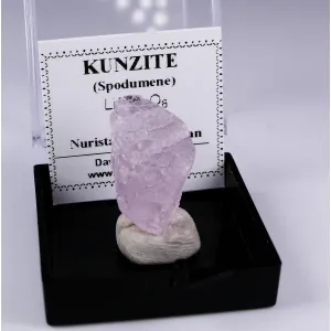 ETCHED KUNZITE (SPODUMENE) RAW CRYSTAL - NURISTAN,AFGHANISTAN | PERKY BOX & LABEL (© ROCKSHOP.CZ) | Buy at $15.95
