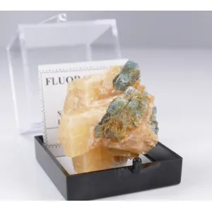 FLUORAPATITE IN CALCITE - SLYUDYANKA, LAKE BAIKAL AREA, RUSSIA | PERKY BOX & LABEL (© ROCKSHOP.CZ) | Buy at $15.95