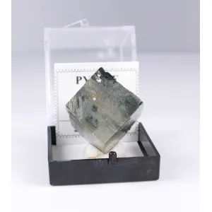 PYRITE CRYSTAL - NAVAJúN, LA RIOJA, SPAIN | PERKY BOX & LABEL (© ROCKSHOP.CZ) | Buy at $14.95