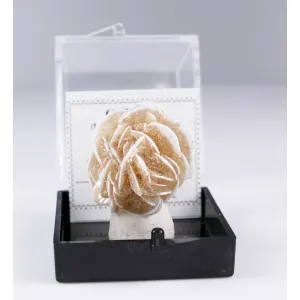 GYPSUM SELENITE DESERT ROSE - SAMALAYUCA DESERT, MEXICO | PERKY BOX & LABEL (© ROCKSHOP.CZ) | Buy at $8.95