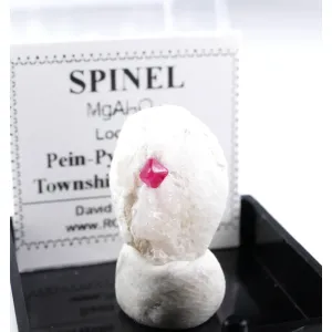 GEM RED SPINEL IN MARBLE - PEIN-PYIT, MOGOK, MYANMAR | PERKY BOX & LABEL (© ROCKSHOP.CZ) | Buy at $44