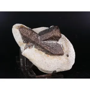 STAUROLITE CRYSTAL TWIN - KEIVY MOUNTAINS,RUSSIA  134 G | 82 X 51 X 33 MM (© ROCKSHOP.CZ) | Buy at $75