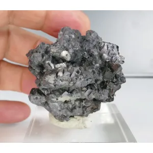 GALENA, SPHALERITE - MADAN, BULGARIA 167 G | 51 X 44 X 38 MM (© ROCKSHOP.CZ) | Buy at $28