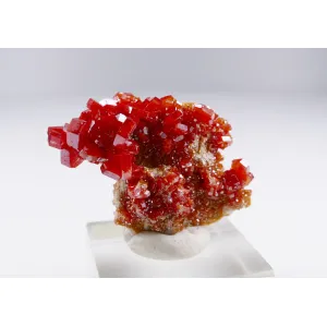 FINE RED VANADINITE ON BARITE - MIBLADEN,MOROCCO | 41 X 27 X 13 MM (© ROCKSHOP.CZ) | Buy at $67