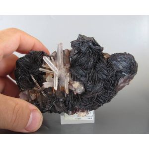 ROCK CRYSTAL WITH HEMATITE - JINLONG HILL, CHINA | 108 X 66 X 58 MM (© ROCKSHOP.CZ) | Buy at $350