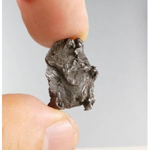 SIKHOTE-ALIN IRON METEORITE 6.3 GRAM FROM SIBERIA,RUSSIA WITH COA (© ROCKSHOP.CZ) | Buy at $53