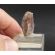 AXINITE THUMBNAIL CRYSTAL - SHIGAR VALLEY, PAKISTAN | 25 X 13 X 6 MM  | PERKY BOX & LABEL (© ROCKSHOP.CZ) | Buy at $18.95