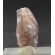 AXINITE THUMBNAIL CRYSTAL - SHIGAR VALLEY, PAKISTAN | 25 X 13 X 6 MM  | PERKY BOX & LABEL (© ROCKSHOP.CZ) | Buy at $18.95