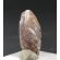 AXINITE THUMBNAIL CRYSTAL - SHIGAR VALLEY, PAKISTAN | 25 X 13 X 6 MM  | PERKY BOX & LABEL (© ROCKSHOP.CZ) | Buy at $18.95