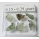 GENUINE RAW MOLDAVITE (0.15 - 0.29 GRAM) WITH COA & BOX | 1 PIECE - RANDOM PICK (© ROCKSHOP.CZ) | Buy at $9.84