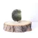 SBíRKOVý VELKý MUZEJNí VLTAVíN 21.4 G | 43 X 32 X 15 MM (© ROCKSHOP.CZ) | Buy at $1190