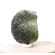 SBíRKOVý VELKý MUZEJNí VLTAVíN 21.4 G | 43 X 32 X 15 MM (© ROCKSHOP.CZ) | Buy at $1190