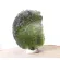 LARGE MUSEUM GRADE MOLDAVITE SPECIMEN 107 CT - 21.4 GRAM | 43 X 32 X 15 MM | COA (© ROCKSHOP.CZ) | Buy at $1240