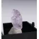 KUNZITE (SPODUMENE) RAW ETCHED CRYSTAL - NURISTAN,AFGHANISTAN | PERKY BOX & LABEL (© ROCKSHOP.CZ) | Buy at $15.95