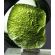MOLDAVITE FINE FIRST GRADE COLLECTOR SPECIMEN 6.12 GRAM WITH COA (© ROCKSHOP.CZ) | Buy at $289